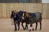 Oxford Polo 2023_01_22 0001